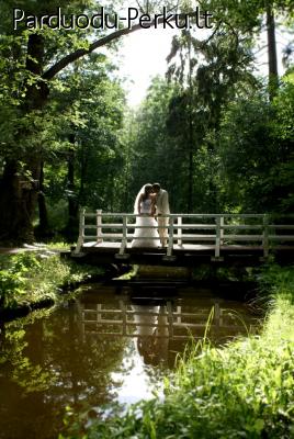 Renginių HD filmavimo ir fotografavimo paslaugos