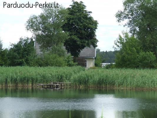 parduodu sodybą prie ežero