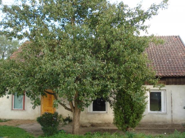 Parduodama sodyba vienkiemyje Å ilutės rajone