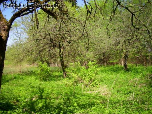 1.	Parduodamas NAMAS (pastatas) SU SKLYPU, Valkininkuose,net