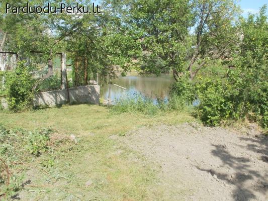 Sodo sklypas Rastinenuose