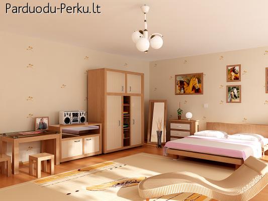 1-no kambario butas Baltijos pr., 5/2 a.