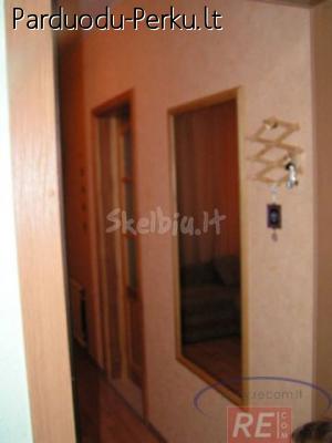 Parduodamas 1 kamb. su holu butas Klaipėdoje, Vingio g.