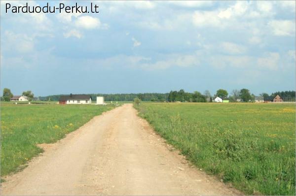 Parduodami namų valdos sklypai Birutės g. , Mažeikiuose