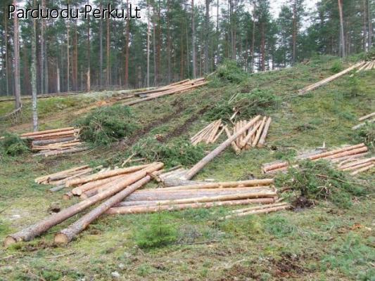 PROFESIONALIOS MIŠKININKYSTĖS PASLAUGOS