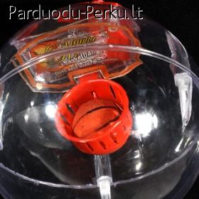 ŠVIEČIANTIS KREPŠINIO KAMUOLYS. SRAIGTASPARNIS