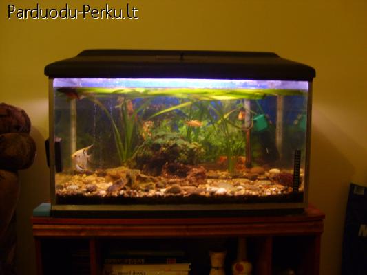 Parduodu akvariuma