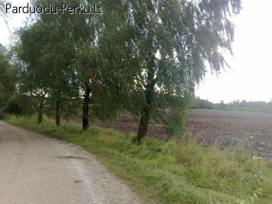 Parduodama žemė Sodybai 52a Dūmino k. Raudondvario sen., Kau