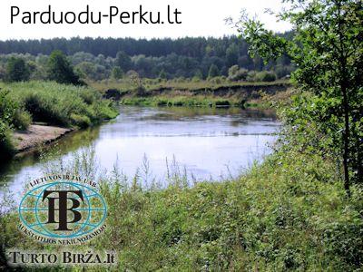 Parduodamas 4,66ha žemės ūkio paskirties sklypas Anykščių ra