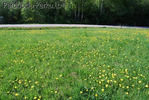 Parduodamas 50 arų sklypas Vilniaus rajone, Sudervėje
