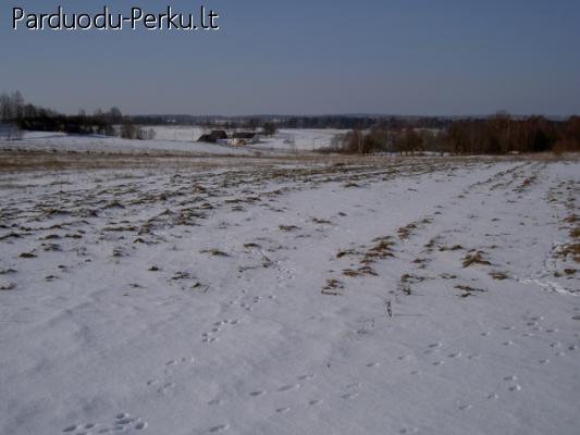 Parduodamas 1 ha žemės sklypas Vilniaus rajone, Savičiūnų ka