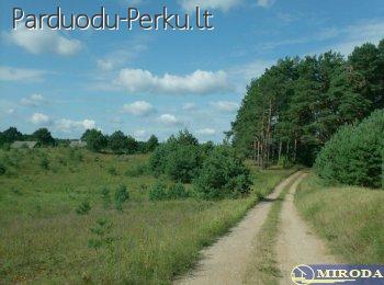 Parduodamas 2.18 ha sklypas netoli Šlavantėlio ežero