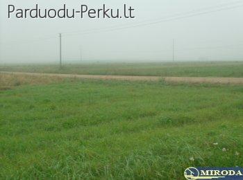 Parduodamas namų valdos  žemės sklypas Miklusėnų k.