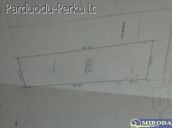 Parduodamas žemės sklypas Alytaus raj.
