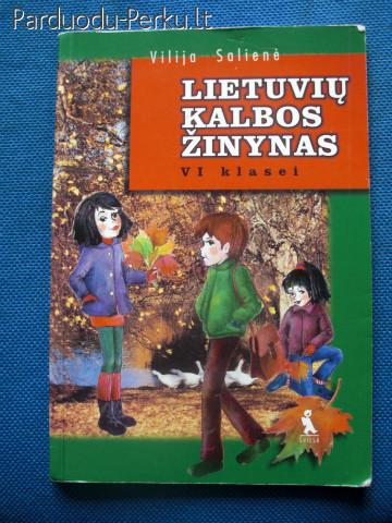 Lietuvių kalbos žinynas 6 klasei