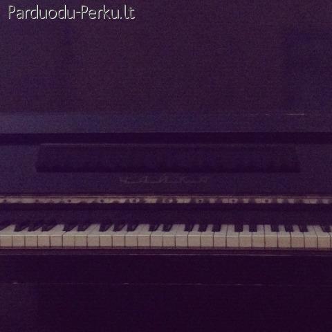 Parduodu pianina, Vilnius