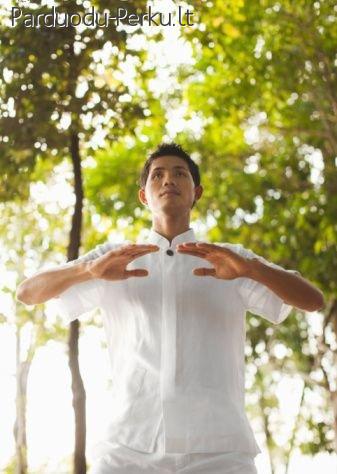 Dzuan Juan Ciguno seminaras (II pakopa)