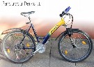 Kalnų dviratis "Panther"
