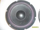 2 Subwoofer 250 Watts 10"