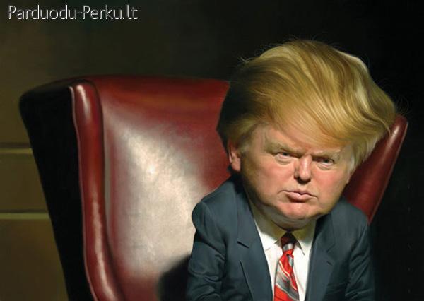 2013 Darbu muge is uzsienio