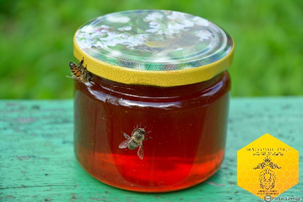 2016m. Šviežias laukų gėlių medus