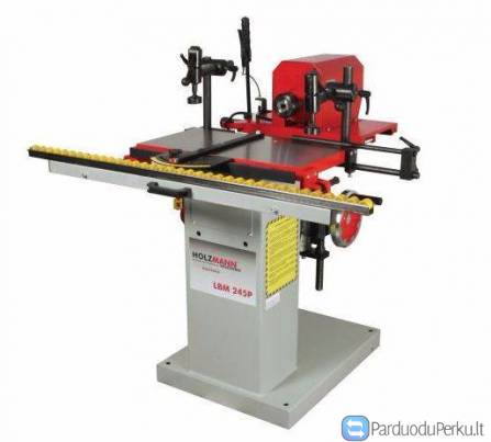 21-14 Kaltavimo staklės HOLZMANN LBM250P (naujos)