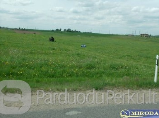 25a. n.v. sklypas Alytaus raj.