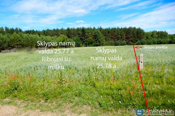 25,78 arų namų valdos sklypas Jašiūnų k.