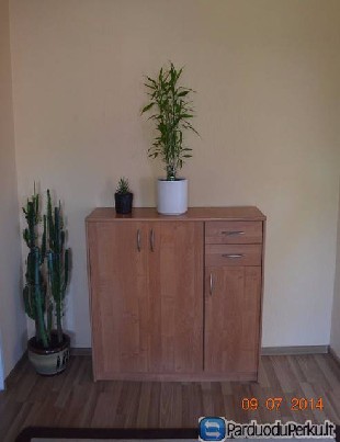 3 kambariu su holu butas su auton. sildymu, Ryšini