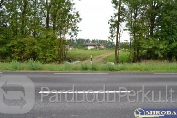 30a n.v. žemės sklypas Alytaus raj.