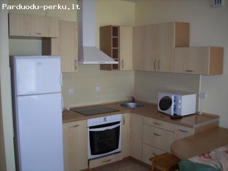 2 kambarių buto nuoma (Å iaurės miestelis)