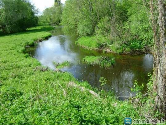 4,8 ha žemės sklypas Darkuškių k., Širvintų raj.