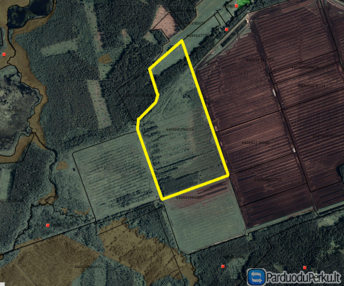 42,5700 ha durpynas (GALŲ DURPINO TERITORIJOJE). Ignalinos raj., Kazitiškio sen., Galų k. Žemės skly