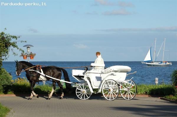 Karieta Jusu Sventei