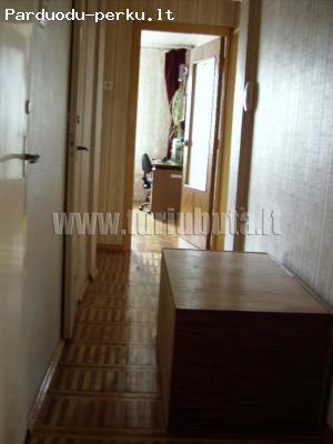 Tvarkingas 3 k.b. Lazdynuose     Nuomojamas tvarkingas 3 kam