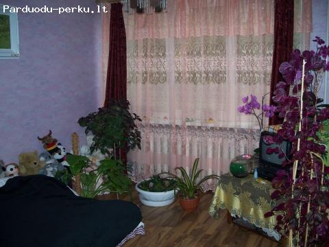 parduodu 3kamb.buta arba keiciu i nama