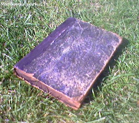 1 Metu zurn.rinkinys "ATEITIS"1925m.