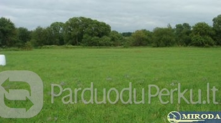60a žemės sklypas