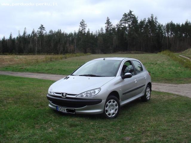 Skubiai Peugeot 206, 2004-12