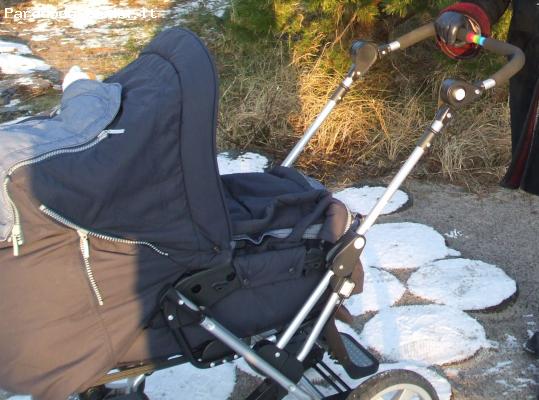 Pavogtas vezimelis Teutonia