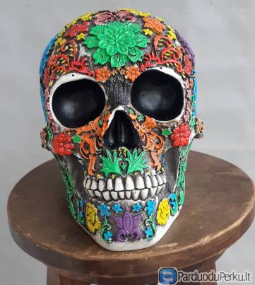 7 vnt.- skirtingos Kaukolės