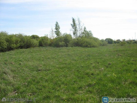 8.40 ha Klaipėdos raj. sav. Dituvos k.