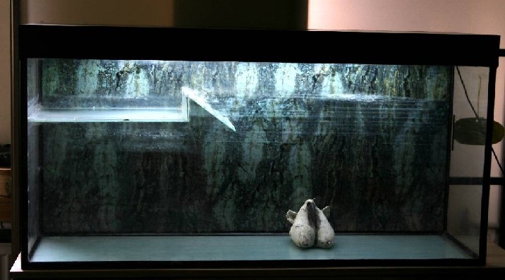 akvariumas-terariumas vandens vėžliams ar kitiems ropliams