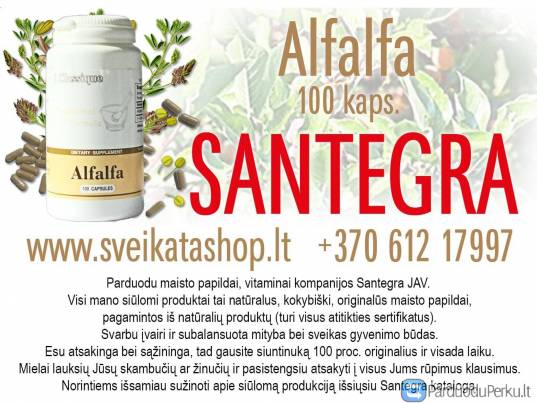 Alfalfa 100 kaps - maisto papildas SANTEGRA / mob: 8 612 17997