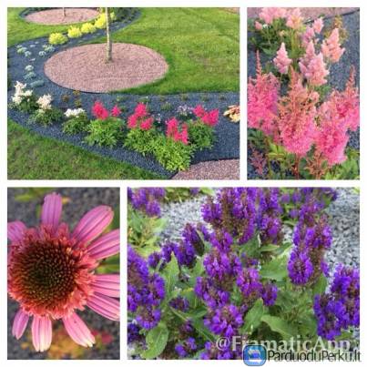 Aplinkos projektavimas, želdinių dizainas, 3D