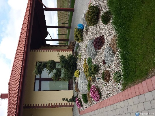 Aplinkos tvarkymas, laistymo sistemos.