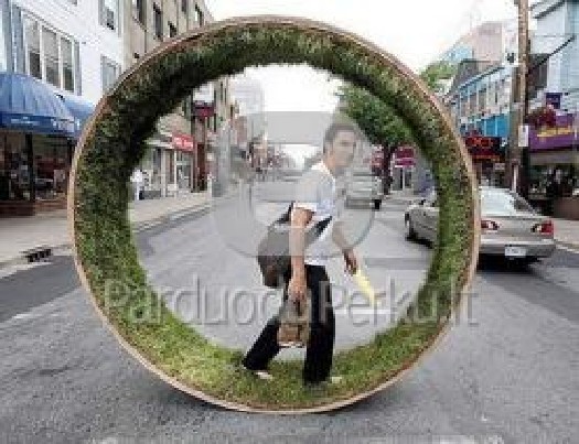 Aplinkos tvarkymo paslaugos