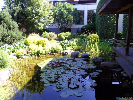 Aplinkotvarka: planai, jų įgyvendinimas, priežiūra