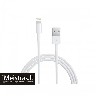Apple iPad Mini / iPad Mini su retina USB laidas