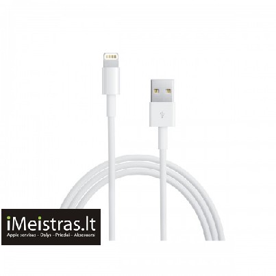 Apple iPhone 5 / 5s / 5c Usb Laidas ''Lightning''